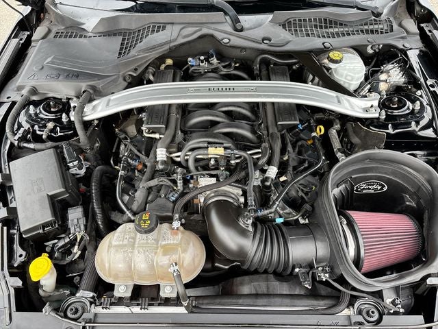 2019 Ford Mustang Bullitt