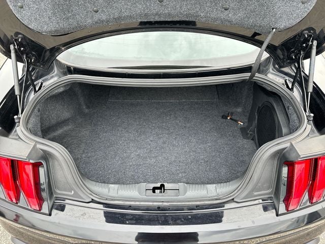 2019 Ford Mustang Bullitt