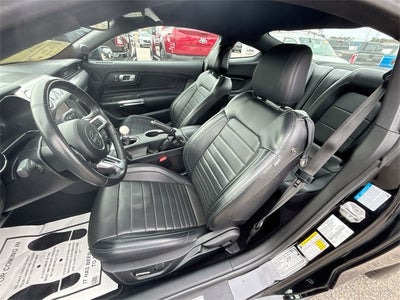 2019 Ford Mustang Bullitt