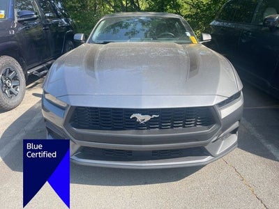 2025 Ford Mustang EcoBoost