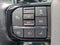 2022 Ford F-150 Lightning Platinum
