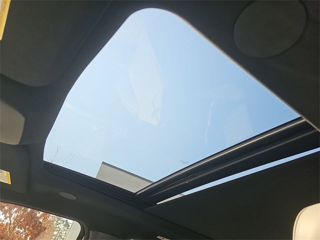 2025 Ford F-150 Lightning Platinum