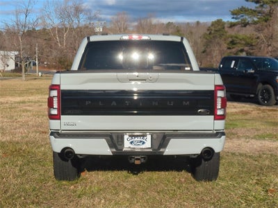 2023 Ford F-150 Platinum