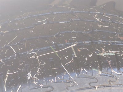 2022 Chevrolet Express 3500 Box Van