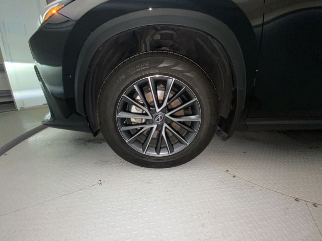 2024 Lexus NX 350h Luxury