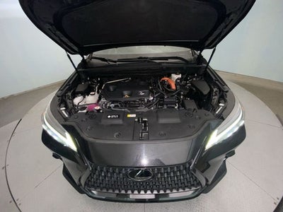 2024 Lexus NX 350h Luxury