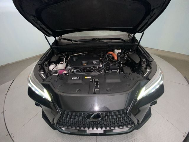 2024 Lexus NX 350h Luxury