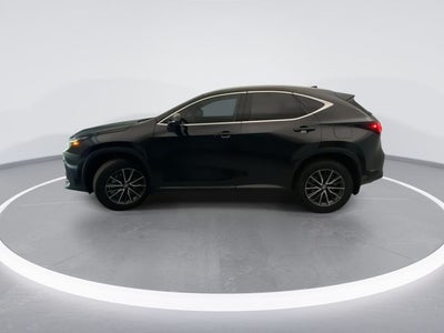2024 Lexus NX 350h Luxury
