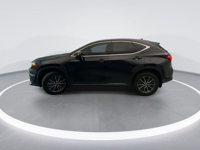 2024 Lexus NX 350h Luxury