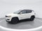 2020 Jeep Compass Altitude