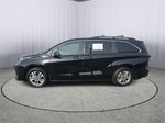 2023 Toyota Sienna Woodland Edition 7 Passenger