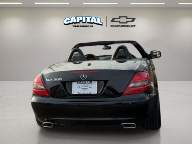 2010 Mercedes-Benz SLK SLK 300 Base