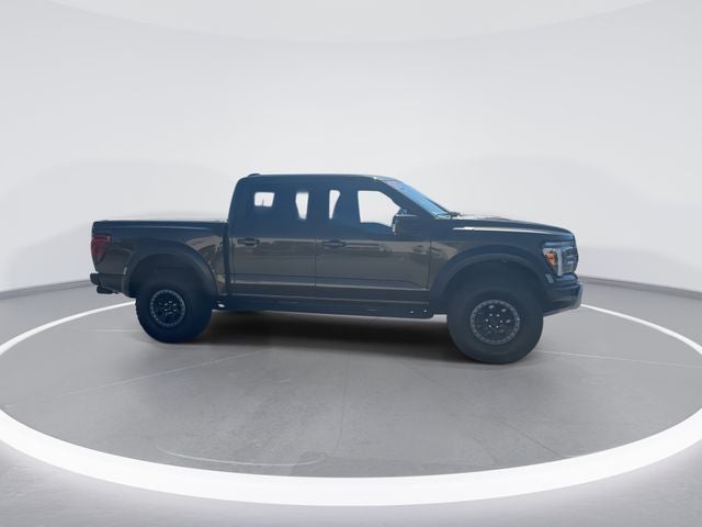 2024 Ford F-150 Raptor - Photo 8